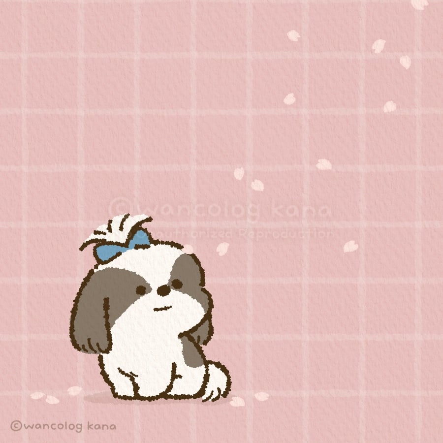 まるまるシーズーちゃんず | Charaforio(キャラフォリオ)