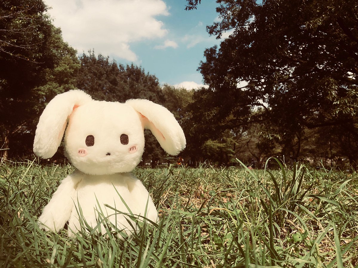 相原歴 さんの作品 おやすみうさぎ ぬいぐるみと枕 ぬいぐるみのおやすみうさぎ | Charaforio(キャラフォリオ)