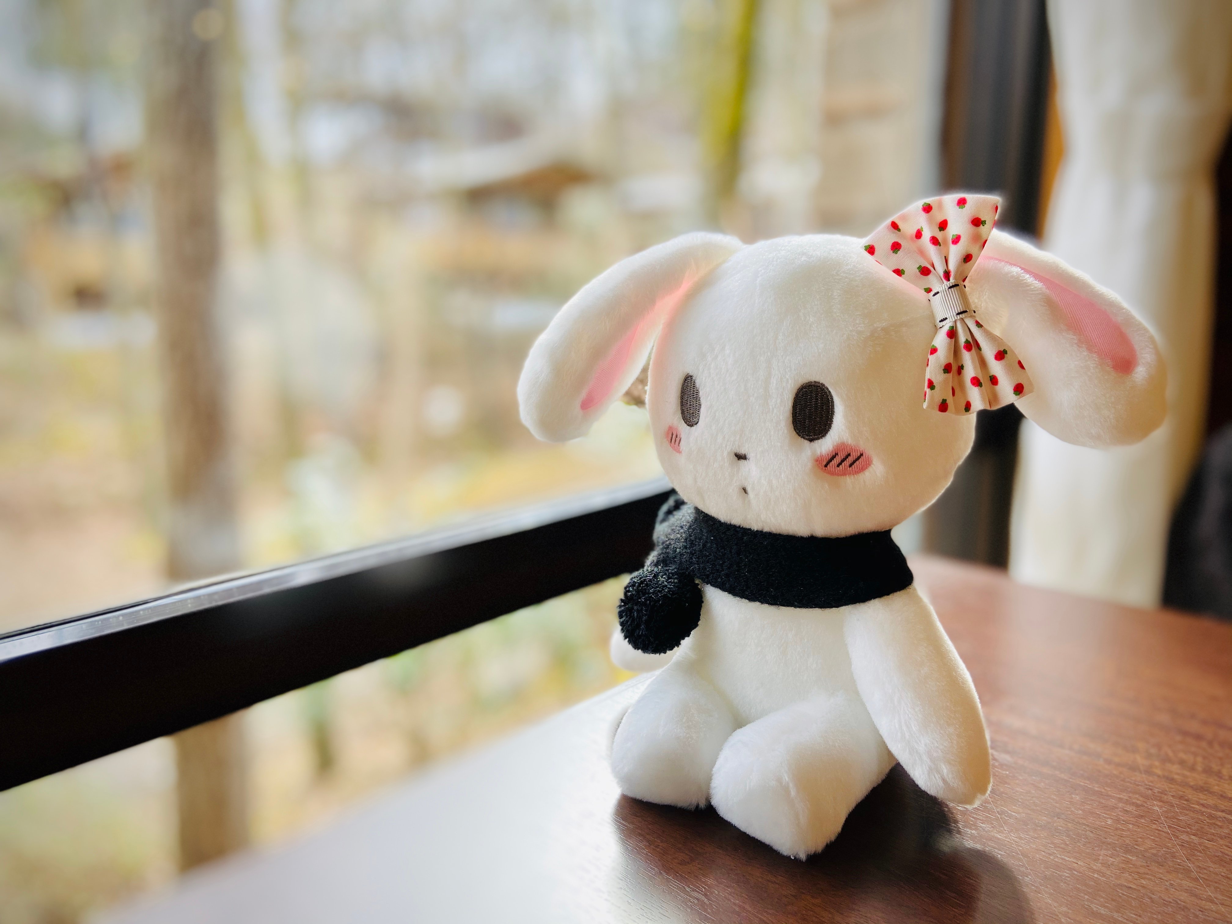 ぬいぐるみのおやすみうさぎ | Charaforio(キャラフォリオ)