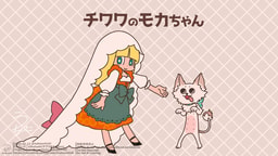 チワワのモカちゃん