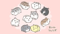 おハムフレンズ